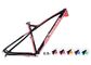 XC Hardtail Mountain Bike Frame Kabel Internal Rounting Custom Painting Design pemasok