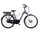 Cina City Black Step Melalui Custom Electric Bike 250w 120 Kg Load Capacity eksportir